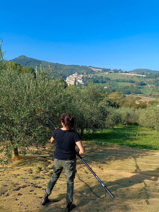 Degli Alessandri House Sassoferrato Buitenkant foto